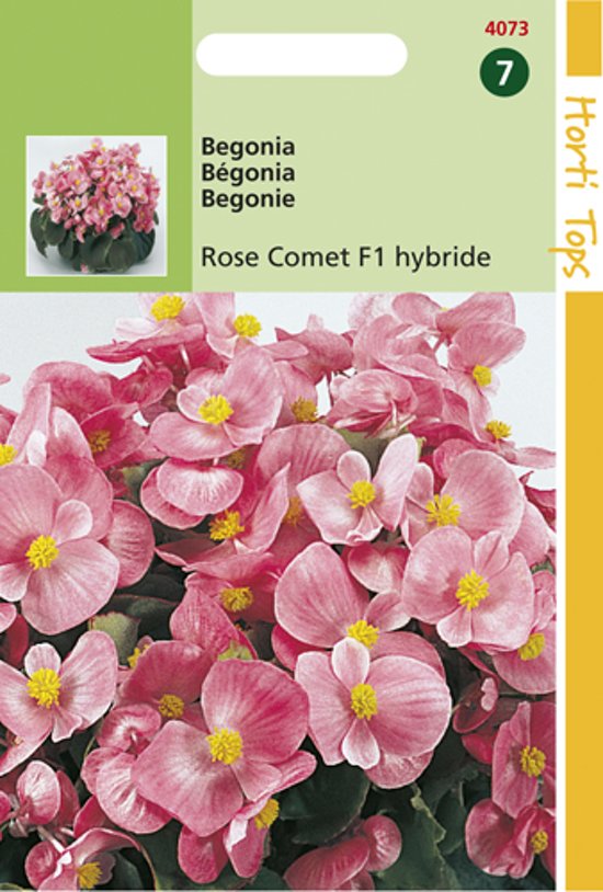 Begonia Rose Comet F1 - 700 zaden
